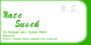 mate susek business card